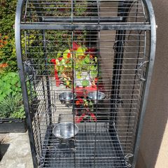 bird cage