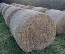 Hay for sale
