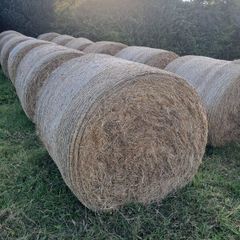 Hay for sale