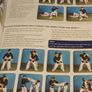 Ju-Jitsu A Path For Beginners Image 6