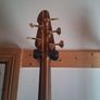 Peavey cirrus 5 walnut Image 5