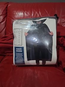 Halloween Costume