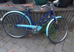 James girls bike