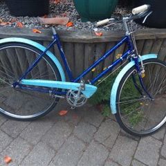 James girls bike