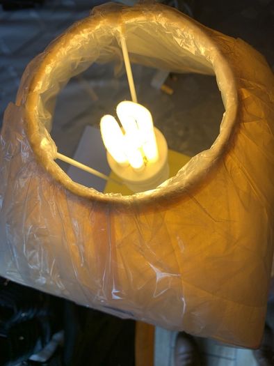 lights