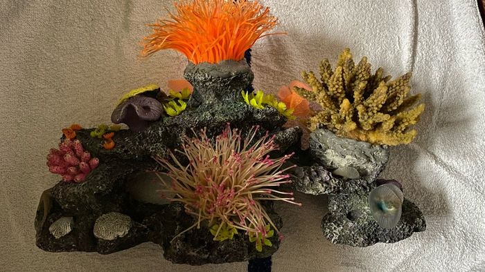 Aquarium Accessories