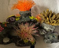 Aquarium Accessories