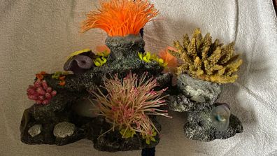 Aquarium Accessories