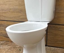 Toilet - Armitage Shanks - new - Sandringham 21