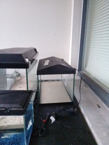 tanks for sale 2 40cm 2 60cm