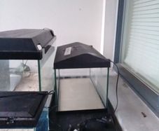 tanks for sale 2 40cm 2 60cm