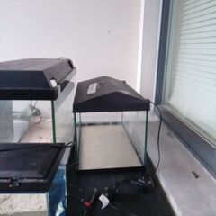 tanks for sale 2 40cm 2 60cm