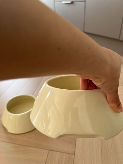 dog bowl