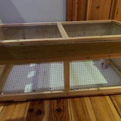 hamster