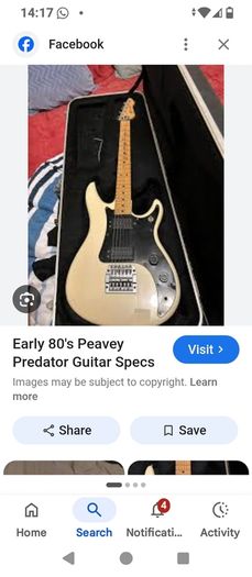 Peavey predator