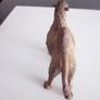 2017  Collecta Animal Toy / Figure Bactrian Camel Image 4