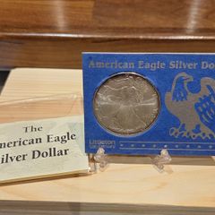 1996 American Eagle Silver Dollar Coin
