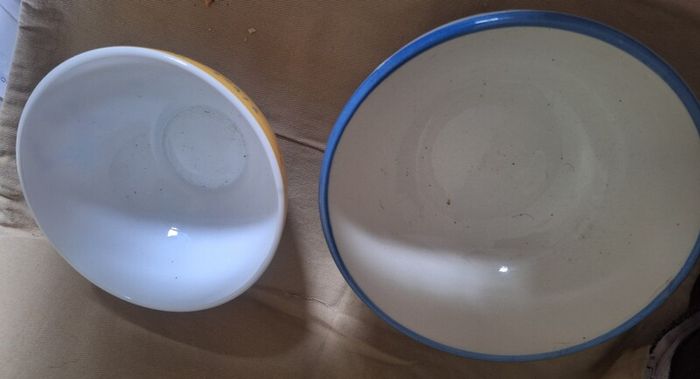 Rare Disney Dingo Bowls