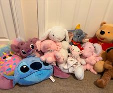 Free teddies