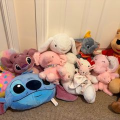 Free teddies