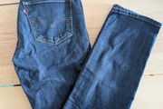 Levi's 511 Men's Jeans Dark Blue W31 L34 performance