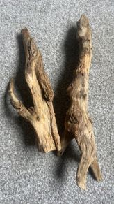 Drift Wood