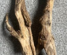Drift Wood