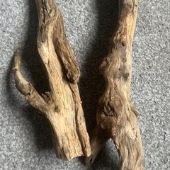 Drift Wood