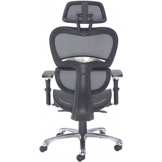 Chiachi Ergonomic High Back Managers Mesh Chair and Mesh Seat With Head Rest