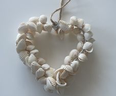 Shell Heart