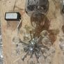 chrome spudnik ceiling lights Image 4