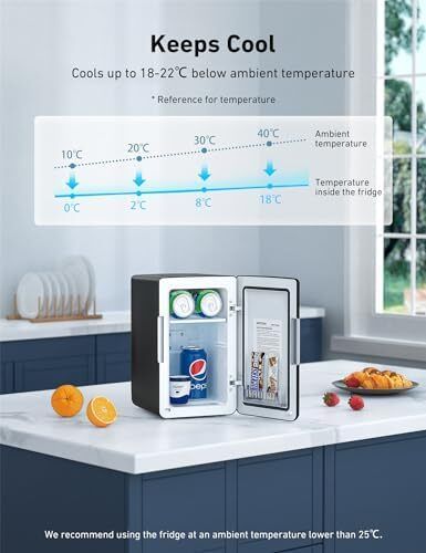 Mini Fridge