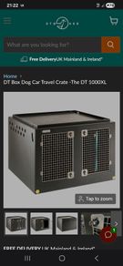 dt dog box