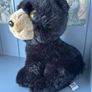 TY Bear Midnight Image 3