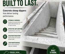 Concrete sheep dipper