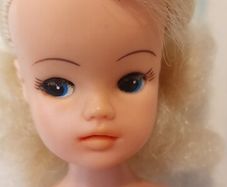 Sindy Doll