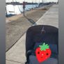 bugaboo Image 2