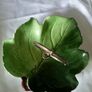 Royal Winton Leaf Serving Plate Image 6