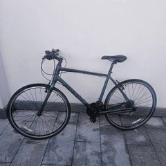 giant bike