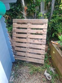 Timber Pallets