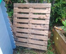 Timber Pallets