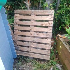 Timber Pallets