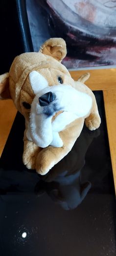 English  Bulldog Stuffed