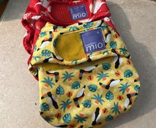 Bambino mio wraps