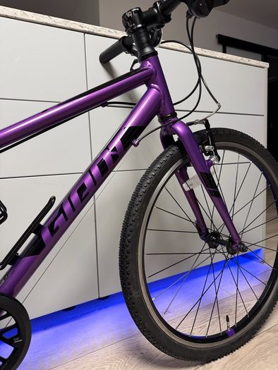 Giant ARX Junior Bike 24 inch (Like NEW)