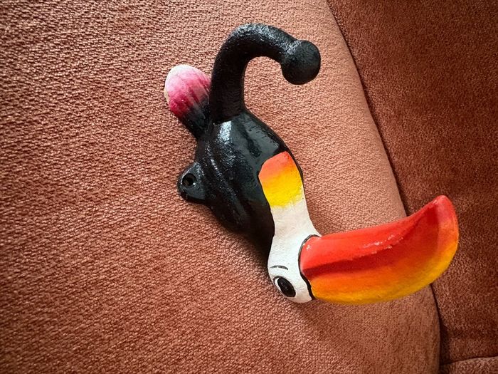 Cast Iron Toucan Coat Hooks