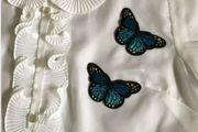 Butterfly clothing decoration