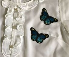 Butterfly clothing decoration