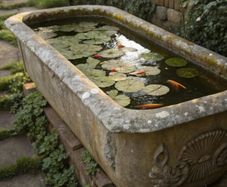 Wanted: stone trough