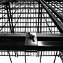 Cat Castle 3.6M x 1.2M x 1.8M Image 10